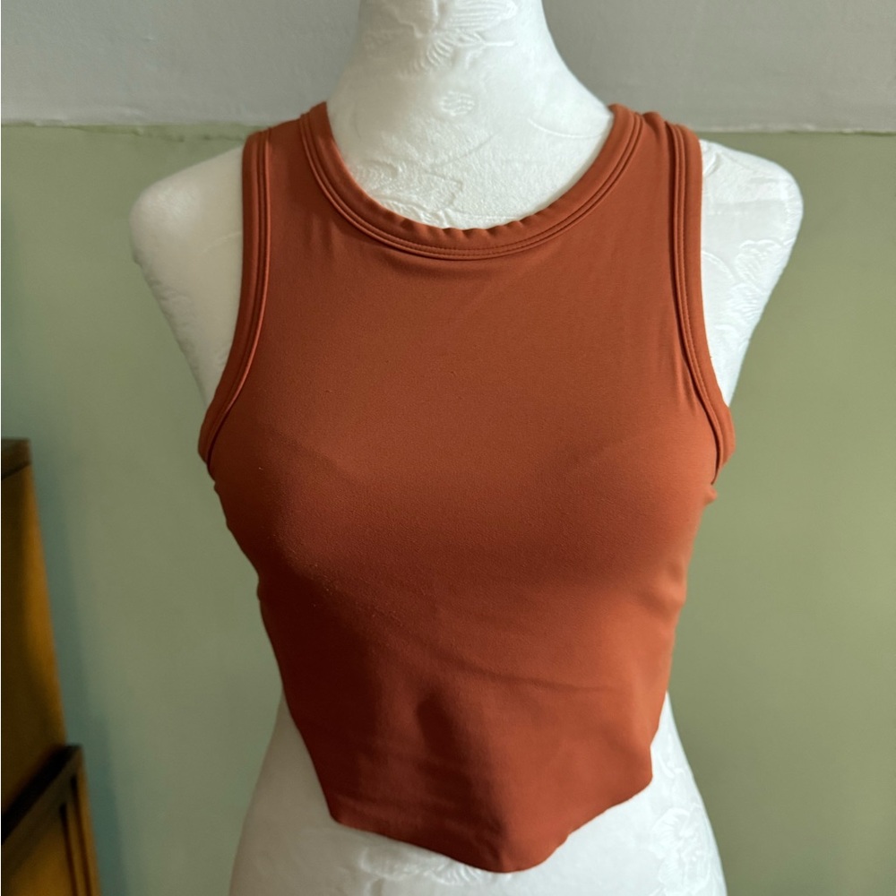 Paragon Fitwear Rust Crop Top